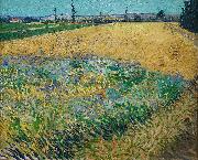 Vincent van Gogh Wheatfield